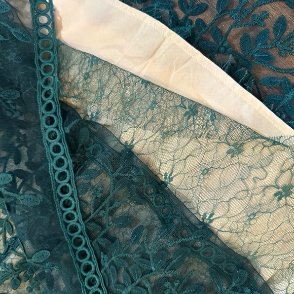 Hunter Green Lace Large Ivy City Co Sicily Lined Floral Midi Dress L Fall Fancy - Picture 12 of 13